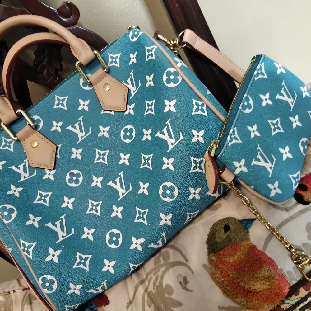 LV Monogram Fashion Bag